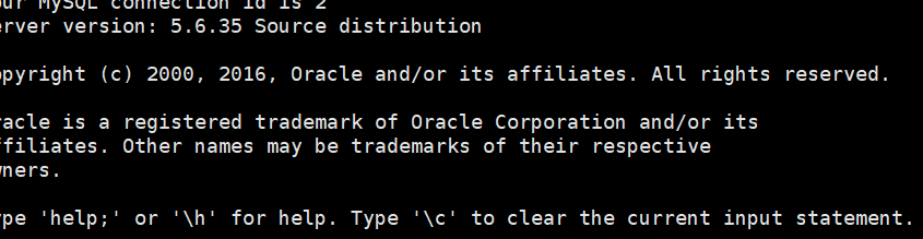 Starting MySQL… SUCCESS!