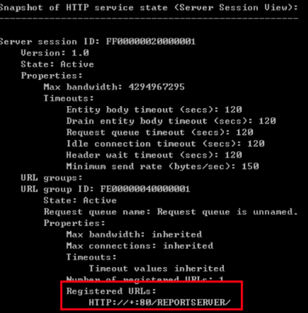 netsh http show servicestate