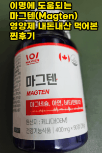 마그텐 후기